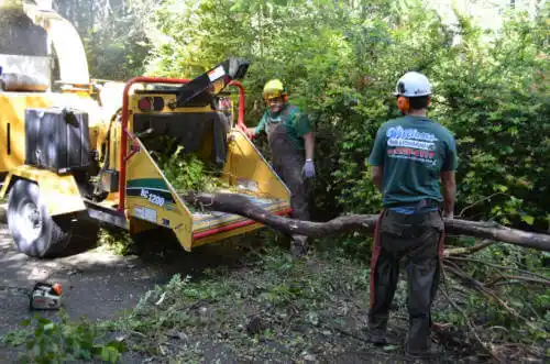 tree services Fort Madison